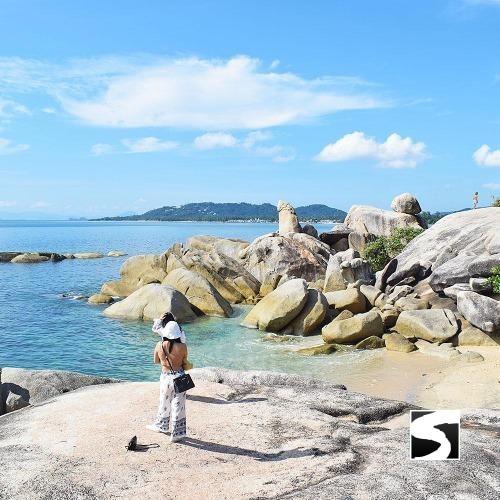 Island Safari Tour - Cruise Ship Visitors Koh Samui - samuitours.app