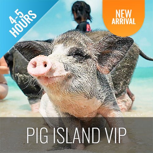 Pig Island VIP Snorkeling Longtail Boat Koh Mudsum & Koh Tan - samuitours.app