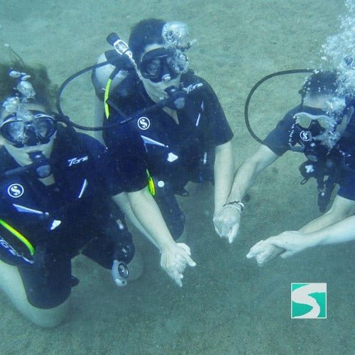 Trial Diving Koh Tao - Experience the open sea - samuitours.app