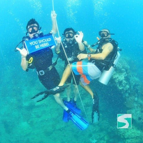 Trial Diving Koh Tao - Experience the open sea - samuitours.app