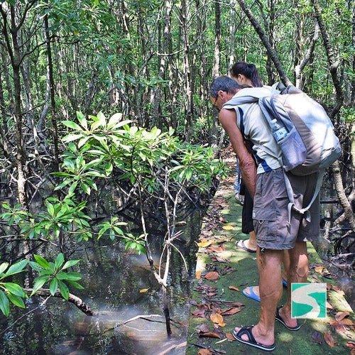 Shore excursion Koh Samui - Secret Islands - samuitours.app