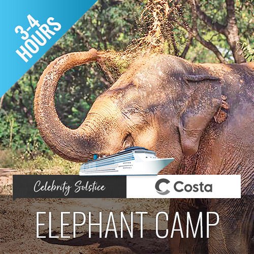 Last Minute Shore Excursion - Elephant Camp Animal Shelter Koh Samui - samuitours.app