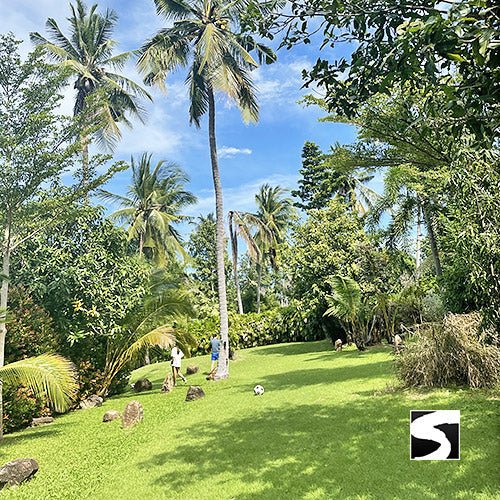 Football Golf Koh Samui - Fun Activity - samuitours.app