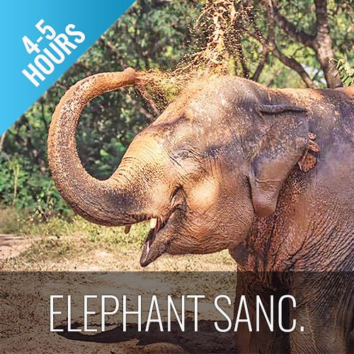 Elephant Sanctuary Samui - Ethical Animal Experience - samuitours.app