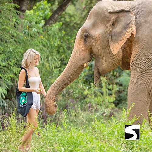 Elephant Sanctuary Samui - Ethical Animal Experience - samuitours.app