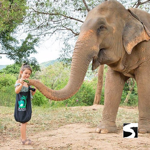 Elephant Sanctuary Samui - Ethical Animal Experience - samuitours.app