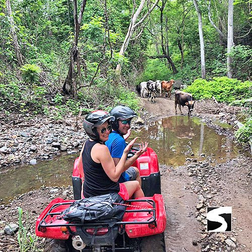 Koh Samui Quad Activity 1 hour adventure - samuitours.app