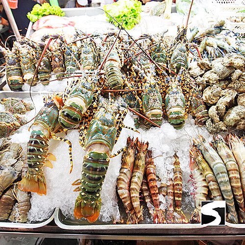 Fisherman´s Village Night Market Round - Trip Transfer 3 Hours Koh Samui - samuitours.app