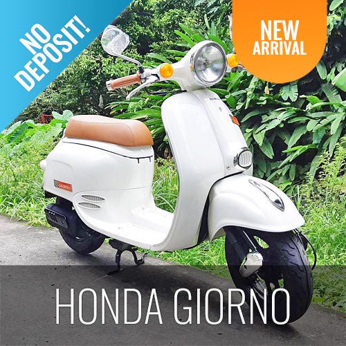 Koh Samui Scooter Rental Honda Giorno Single Seater no Passport & Free Delivery - samuitours.app