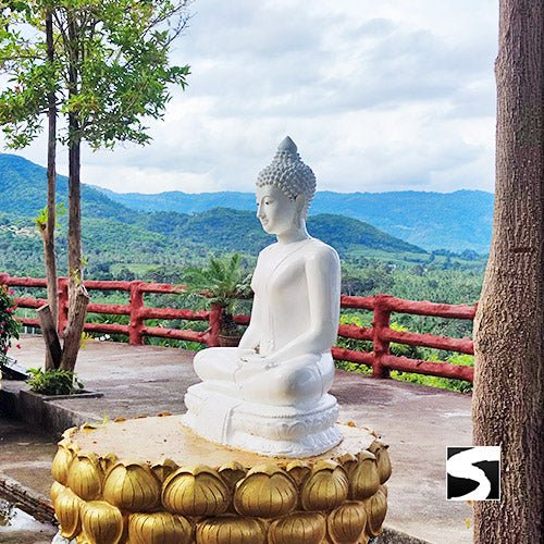 Private Zodiac Park, Elephant Clinic, Waterfall & the best View Point - samuitours.app