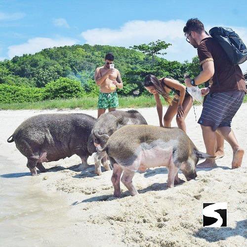 Koh Samui Tours - Secret islands boat trip - samuitours.app