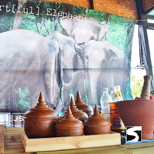 Koh Samui Elephant Haven - Animal Activity - samuitours.app
