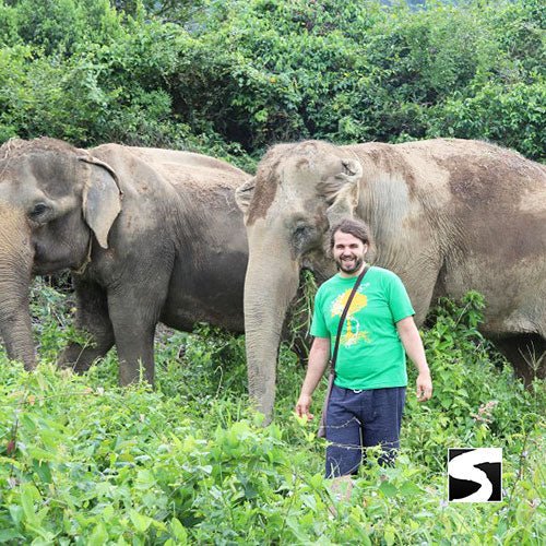 Half Day Activity Elephant Home Shelter - samuitours.app