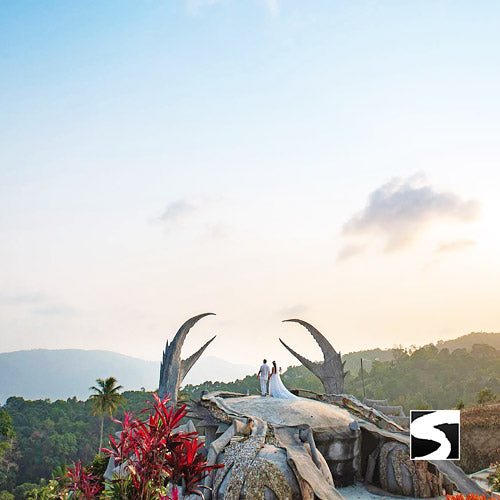 Private Zodiac Park, Elephant Clinic, Waterfall & the best View Point - samuitours.app