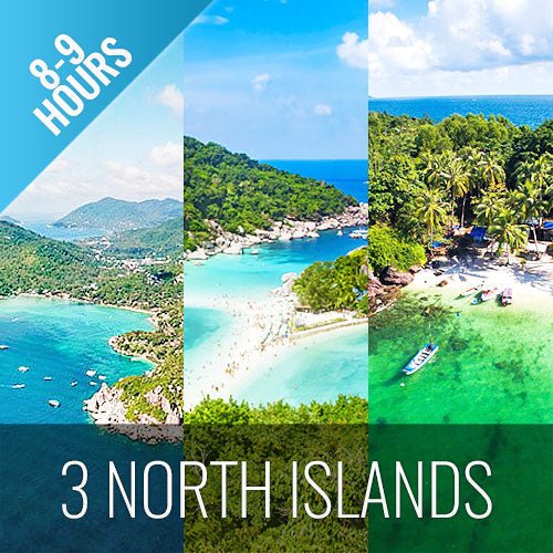 3 Islands Day trip snorkeling Koh Tao & Koh Nang Yuan & Koh Phangan - samuitours.app