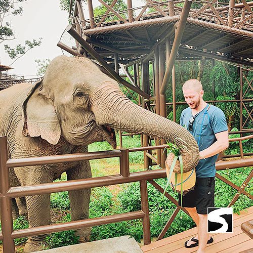 Round - Trip Transfer Elephant Kingdom 400m Skywalk Animal Shelter - samuitours.app