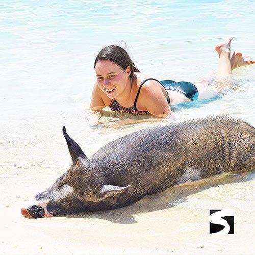 Koh Samui Tours - Secret islands boat trip - samuitours.app