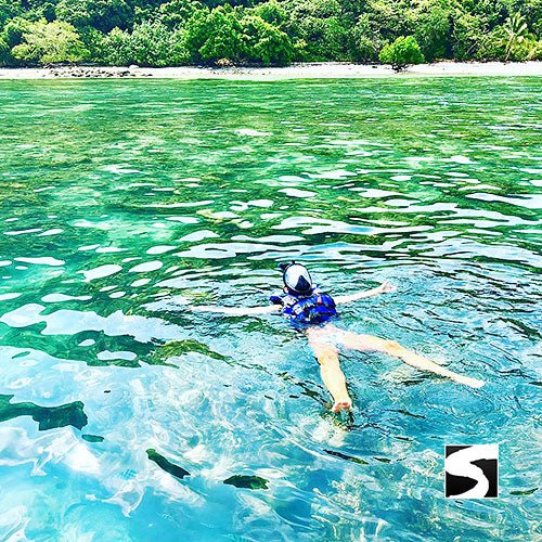 Pig Island VIP Snorkeling Longtail Boat Koh Mudsum & Koh Tan - samuitours.app
