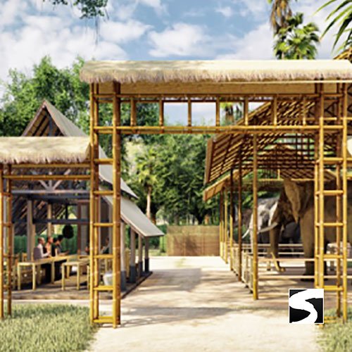 Elephant Shelter Feeding Activity Koh Samui For Cruise Ship Guests - samuitours.app