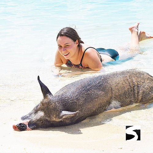 Private Koh Samui Tours - Secret islands boat trip - samuitours.app