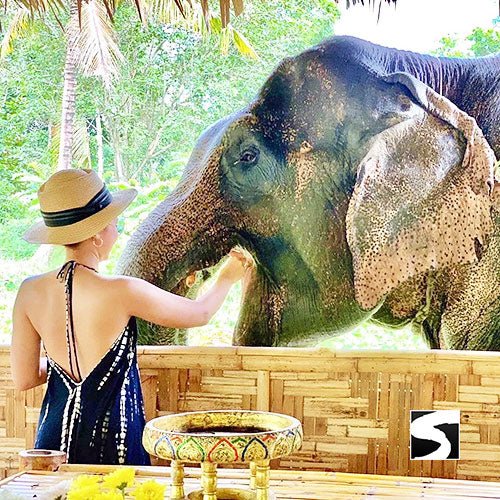 Private Island Tour Around Koh Samui Full Day Shore Excursion - samuitours.app