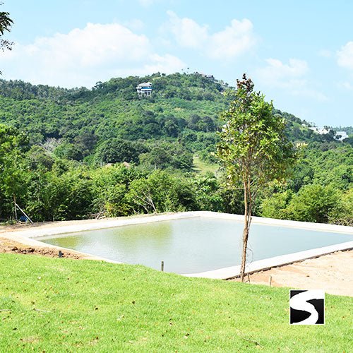 Koh Samui Elephant Haven - Animal Activity - samuitours.app