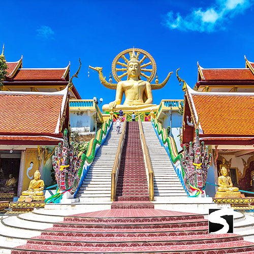 Temple Tour Around Koh Samui Full Day Excursion - samuitours.app