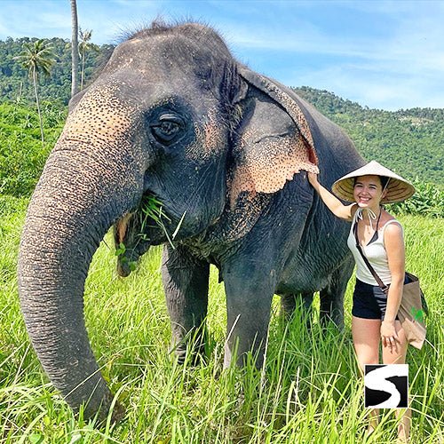 Private Zodiac Park, Elephant Clinic, Waterfall & the best View Point - samuitours.app