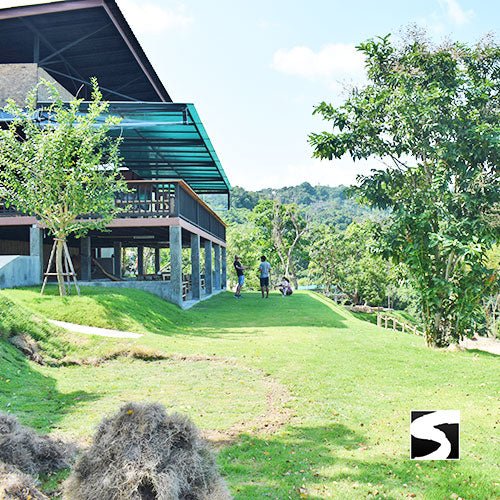 Koh Samui Elephant Haven - Animal Activity - samuitours.app