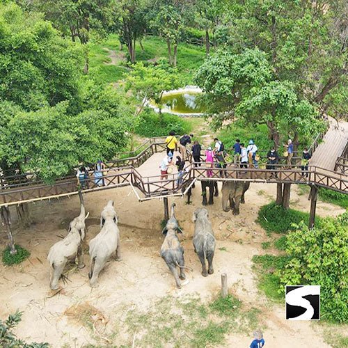 Round - Trip Transfer Elephant Kingdom 400m Skywalk Animal Shelter - samuitours.app