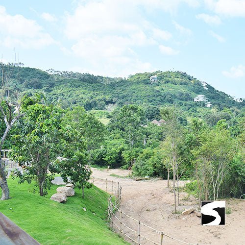 Koh Samui Elephant Haven - Animal Activity - samuitours.app