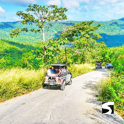 Island Safari Tour - Cruise Ship Visitors Koh Samui - samuitours.app