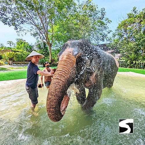 Private Zodiac Park, Elephant Clinic, Waterfall & the best View Point - samuitours.app
