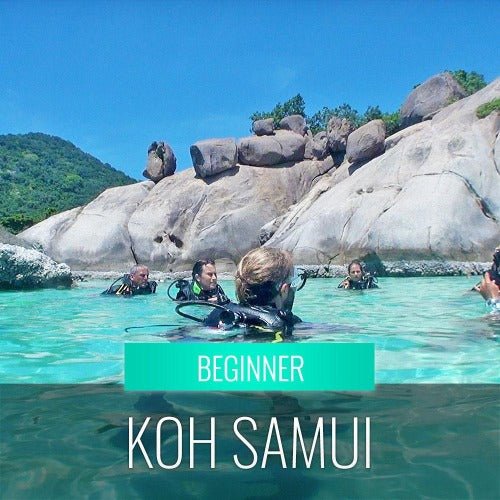 Diving Koh Samui - At beach for beginners - samuitours.app