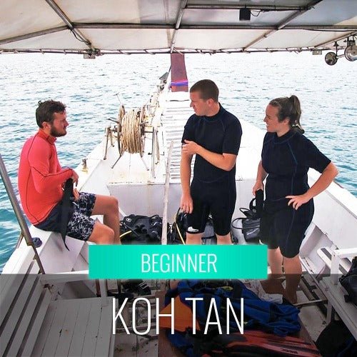 Private Diving Tour Island Koh Tan & Koh Mudsum - samuitours.app