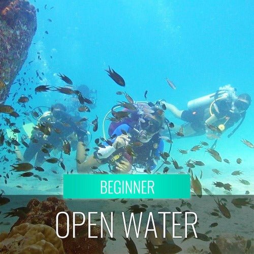 Koh Samui diving course - pool & open sea - samuitours.app