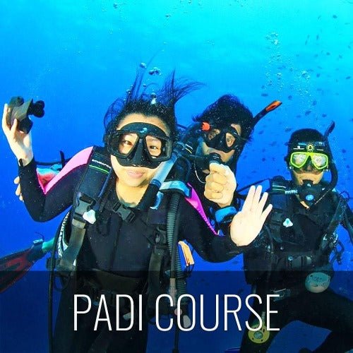 PADI open water diver - 3 day course Koh Samui - samuitours.app