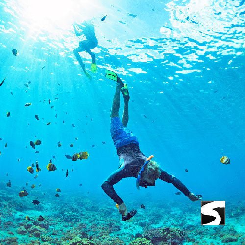 Koh Samui Pink Dolphin tour Khanom - samuitours.app