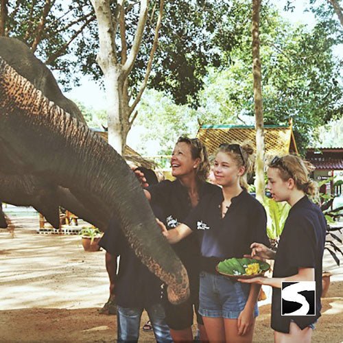 Elephant Shelter Feeding Activity Koh Samui For Cruise Ship Guests - samuitours.app