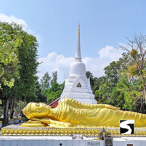 Temple Tour Around Koh Samui Full Day Excursion - samuitours.app