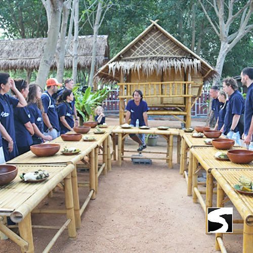 Elephant Shelter Feeding Activity Koh Samui For Cruise Ship Guests - samuitours.app