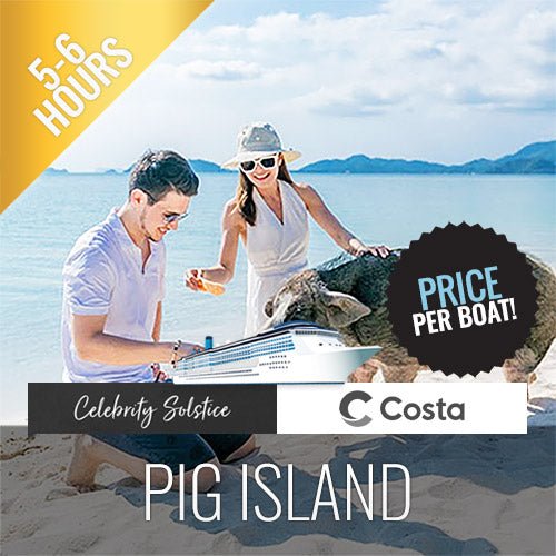 Private Pig Island Snorkeling & Longtail Boat - Cruise Excursion - samuitours.app