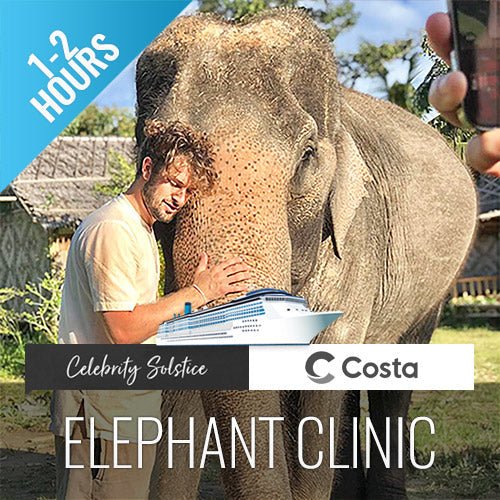 Feeding Activity Elephant Shelter Koh Samui - Last Minute Cruise Ship Guests - samuitours.app