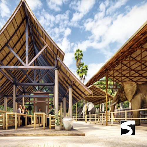 Elephant Shelter Feeding Activity Koh Samui For Cruise Ship Guests - samuitours.app