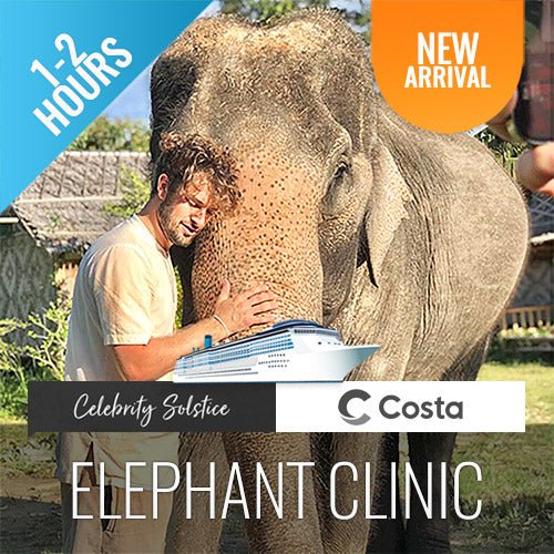 Elephant Shelter Feeding Activity Koh Samui For Cruise Ship Guests - samuitours.app