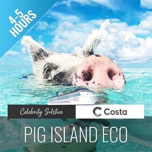 Pig Island Speedboat Tour - Cruise Ship Tours - Last Minute - samuitours.app
