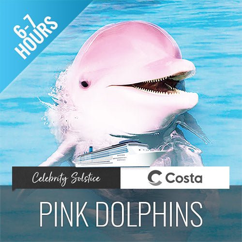 Cruise Ship Tour Pink Dolphins Khanom - samuitours.app