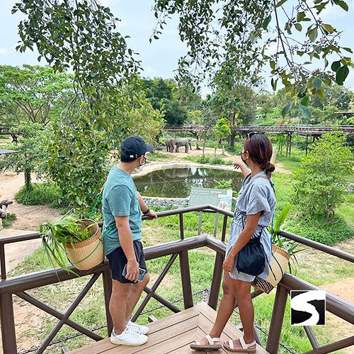 Round - Trip Transfer Elephant Kingdom 400m Skywalk Animal Shelter - samuitours.app