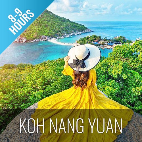 Day trip snorkeling Koh Tao & Koh Nang Yuan - samuitours.app