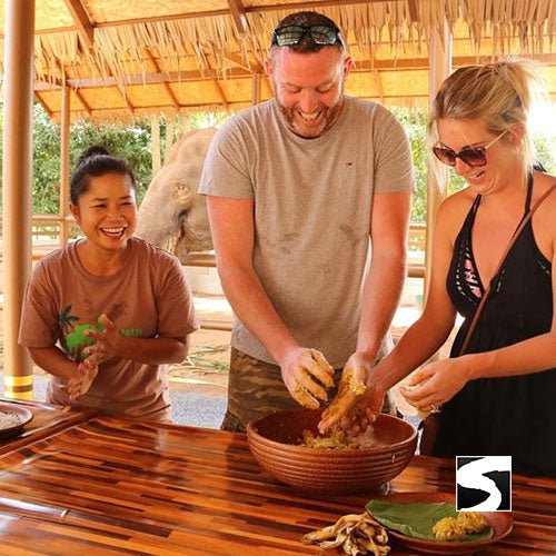 Elephant Shelter Feeding Activity Koh Samui For Cruise Ship Guests - samuitours.app